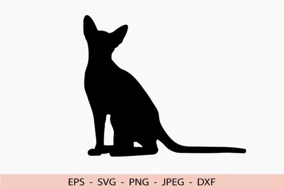 Abyssinian Cat Pet Silhouette Design Review
